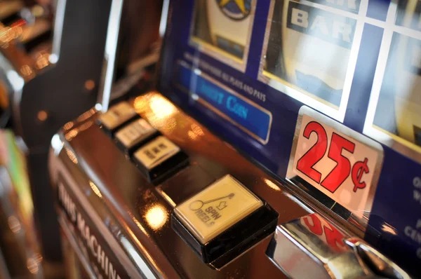ltd loto multi-sport and casino dashboard